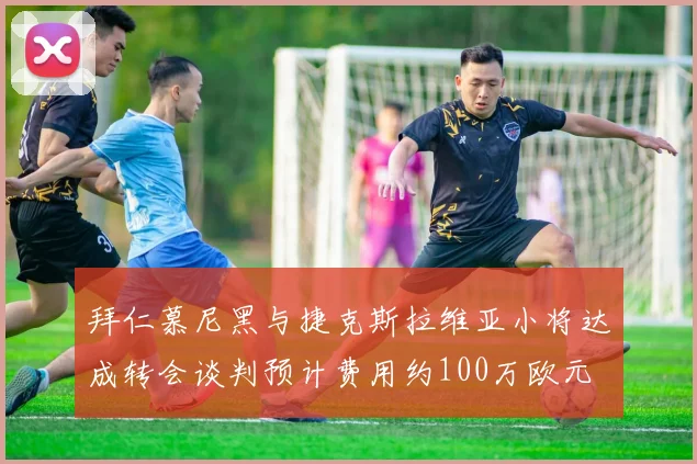 拜仁慕尼黑与捷克斯拉维亚小将达成转会谈判预计费用约100万欧元