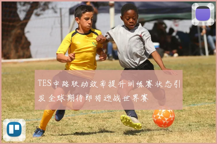 TES中路联动效率提升训练赛状态引发全球期待即将迎战世界赛